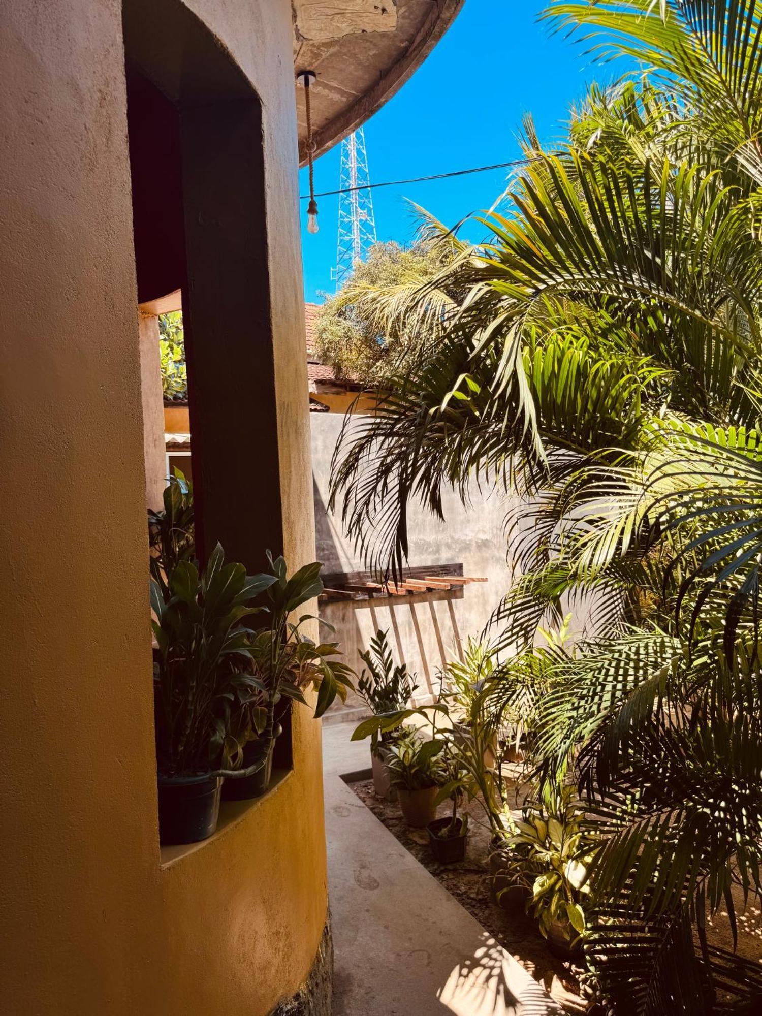 Dreamy Hostel Arugambay Arugam Bay Zewnętrze zdjęcie